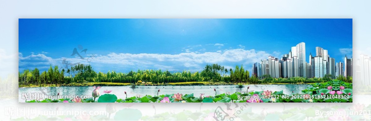 荷花池塘风景图片