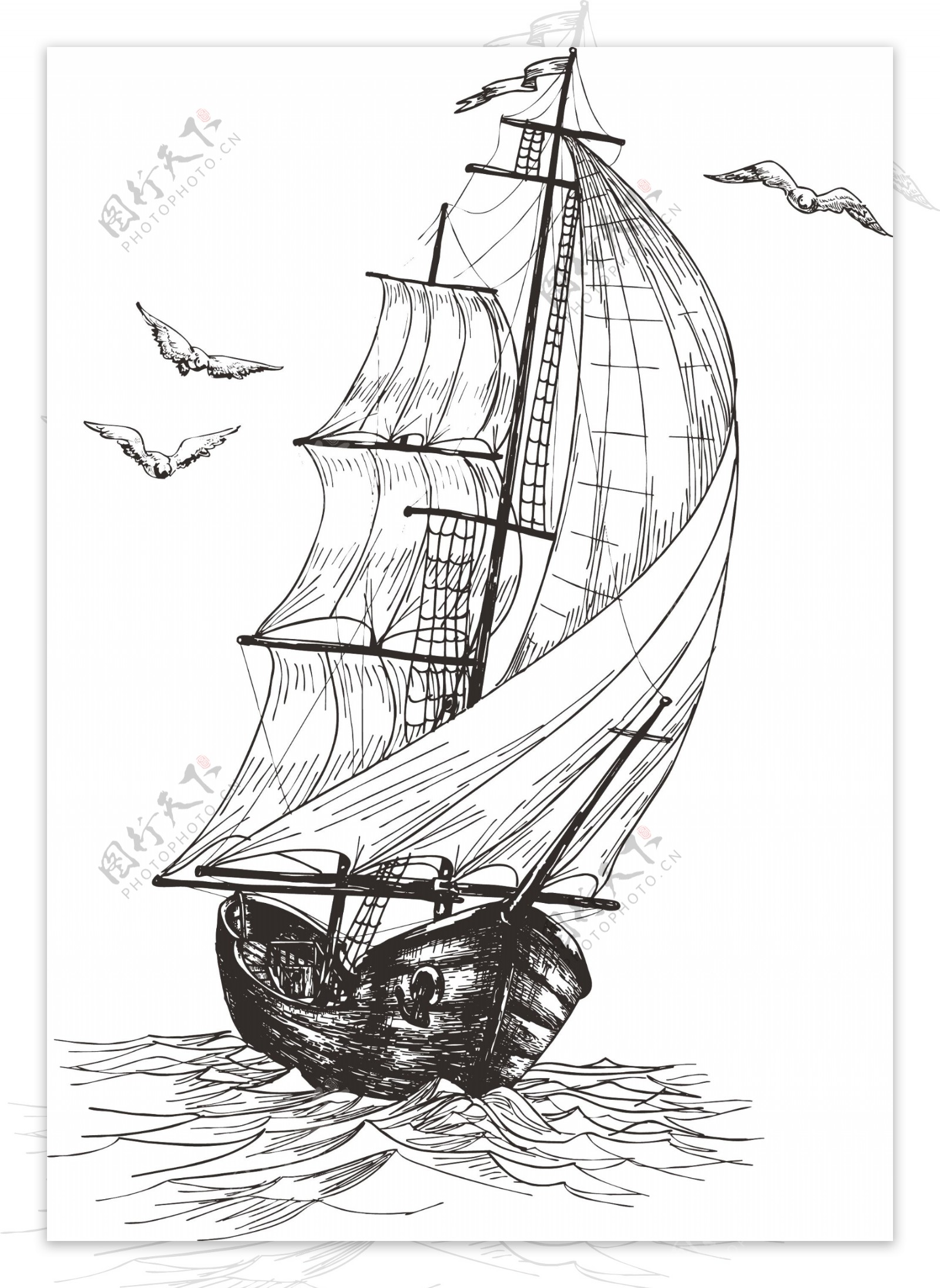 海鸥帆船图片