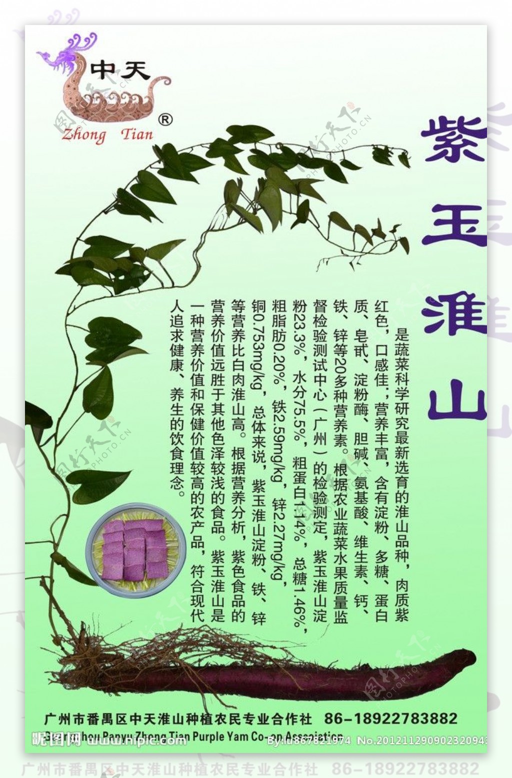 紫玉淮山图片