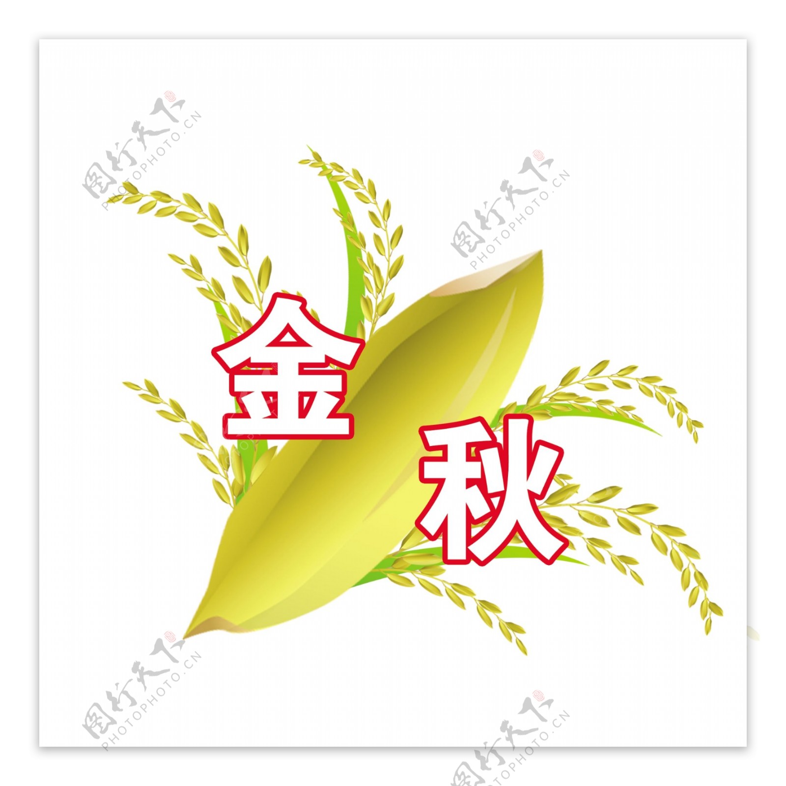 金秋水稻标志图片