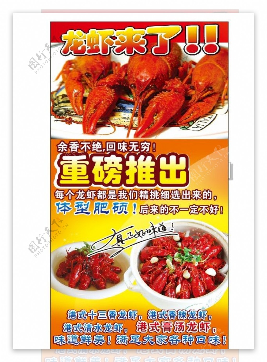 龙虾矢量海报广告设计图片