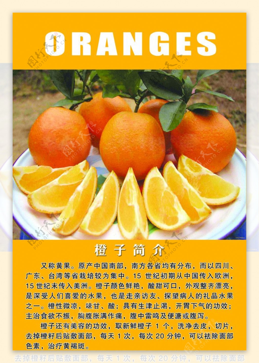 橘子简介图片