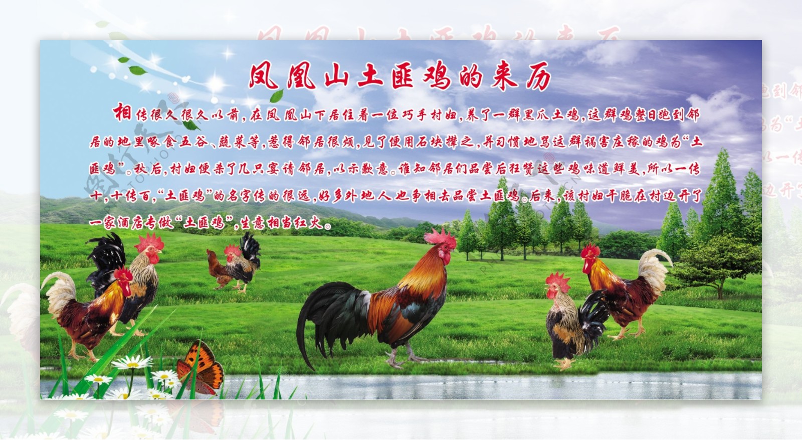 蓝天草原风景公鸡图片