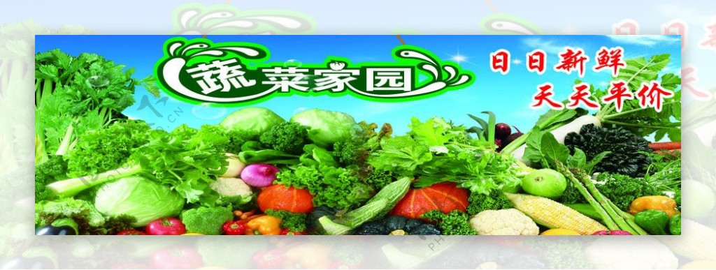 蔬菜家园海报图片