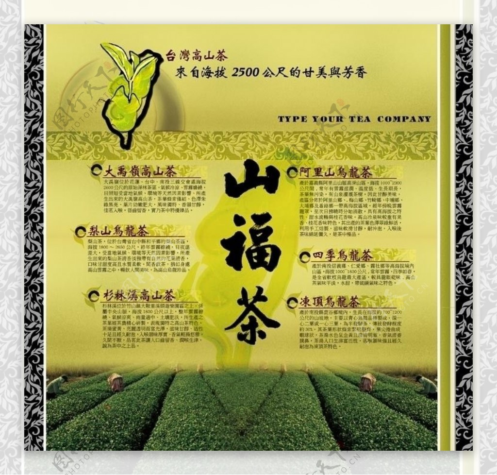 台湾茶分布海报图片