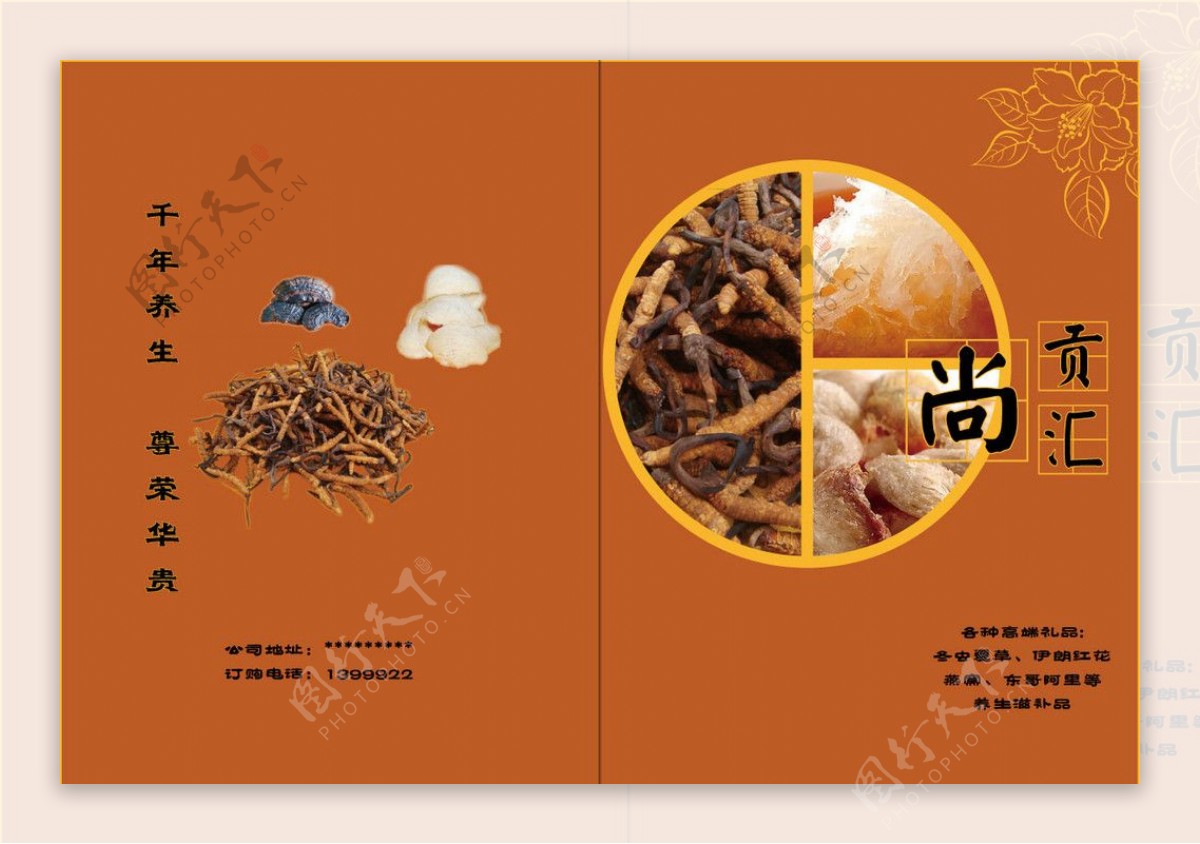 冬虫夏草宣传册封面设计图片