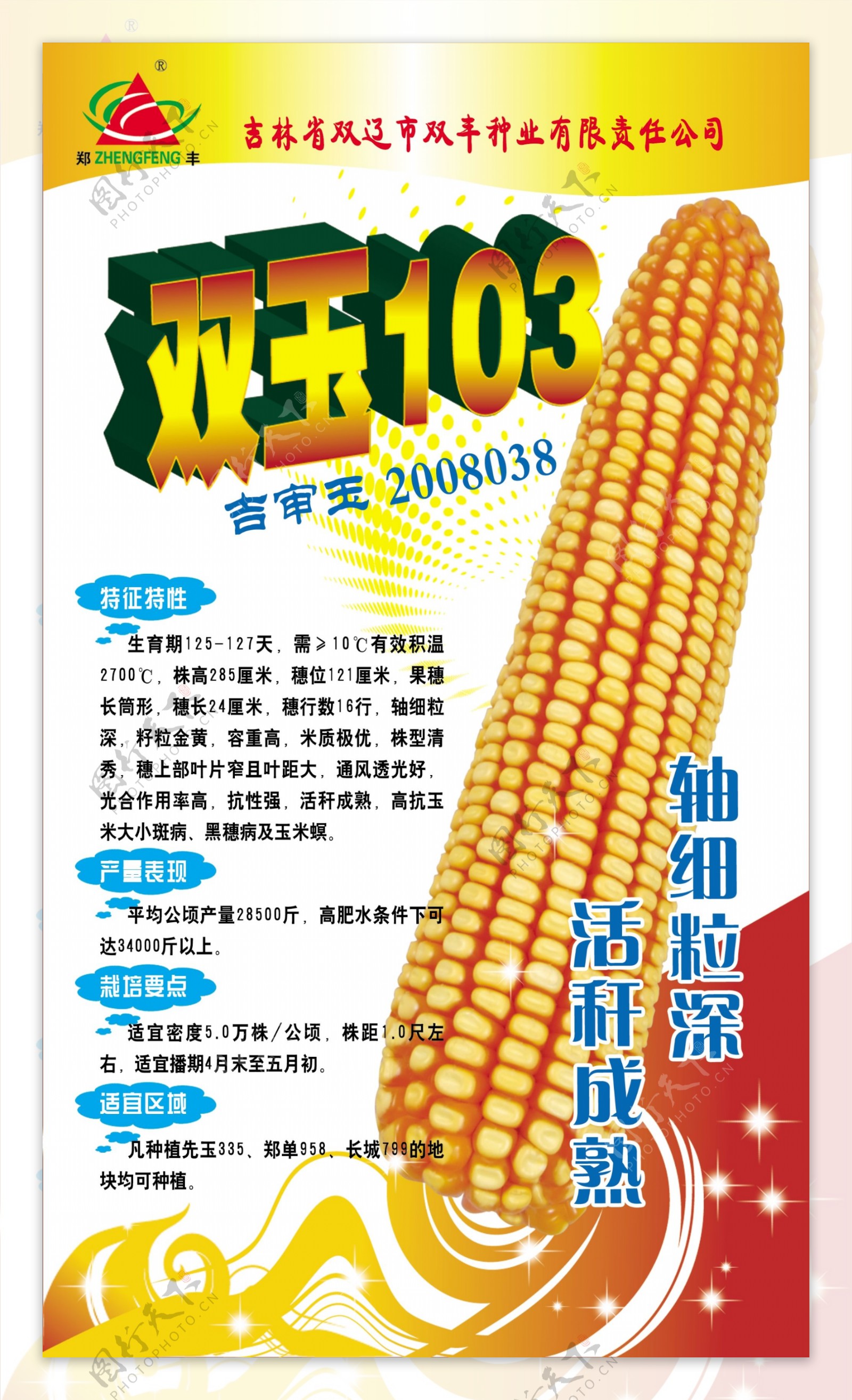 双玉103图片