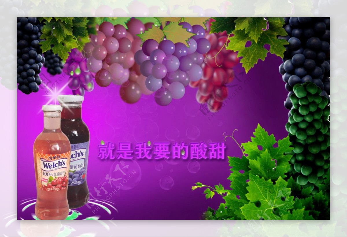 葡萄汁海报图片