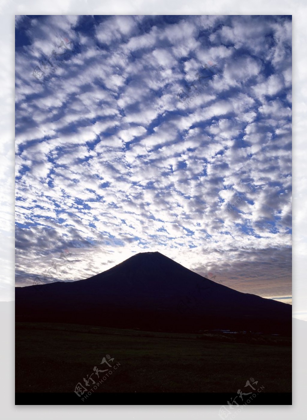 樱花与富士山0132