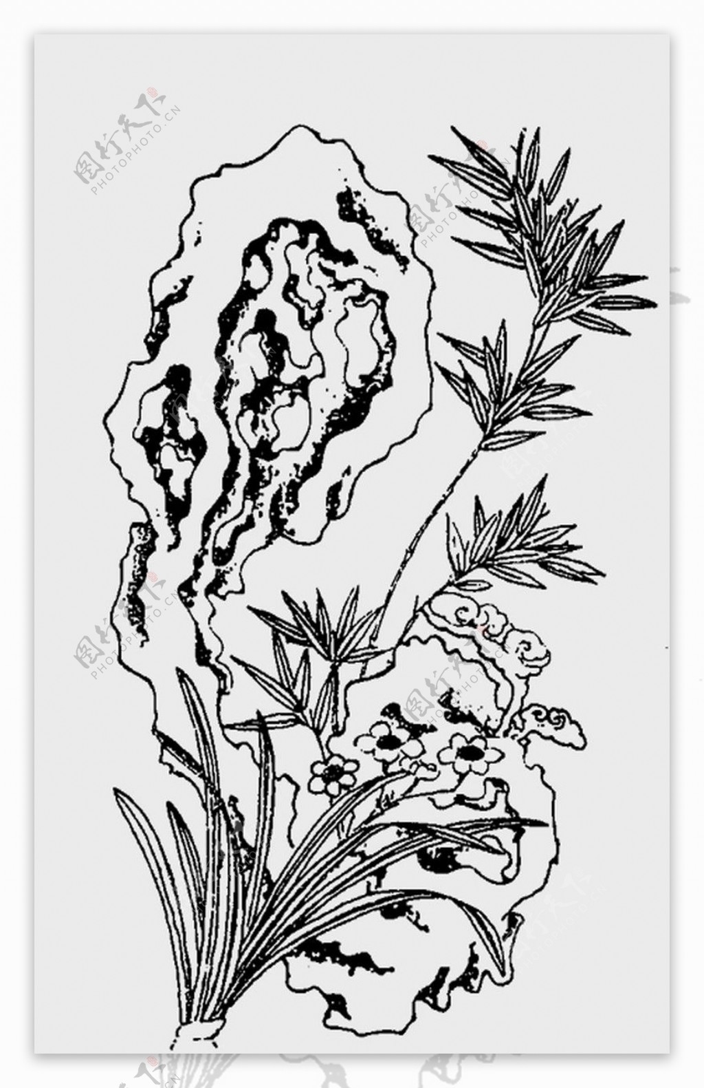 植物图案花纹0204