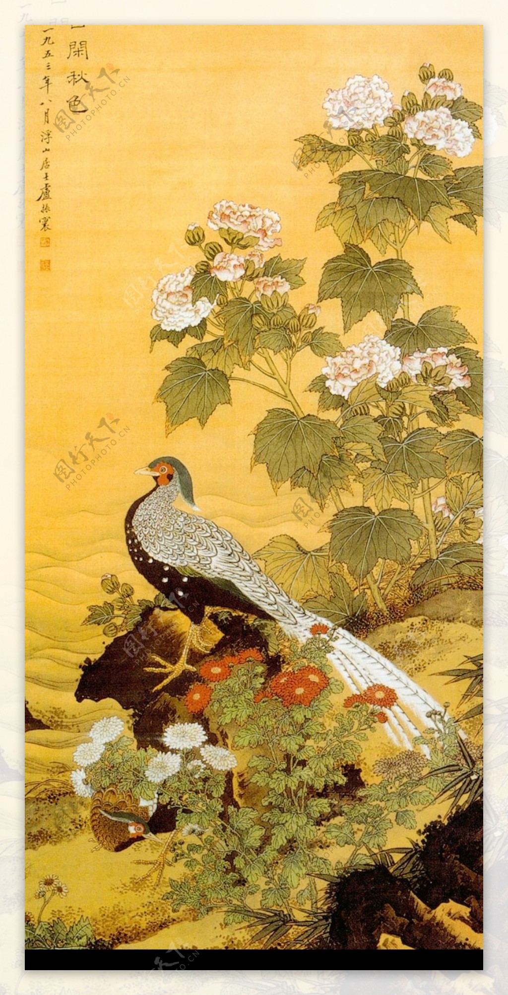 中国现代花鸟0005