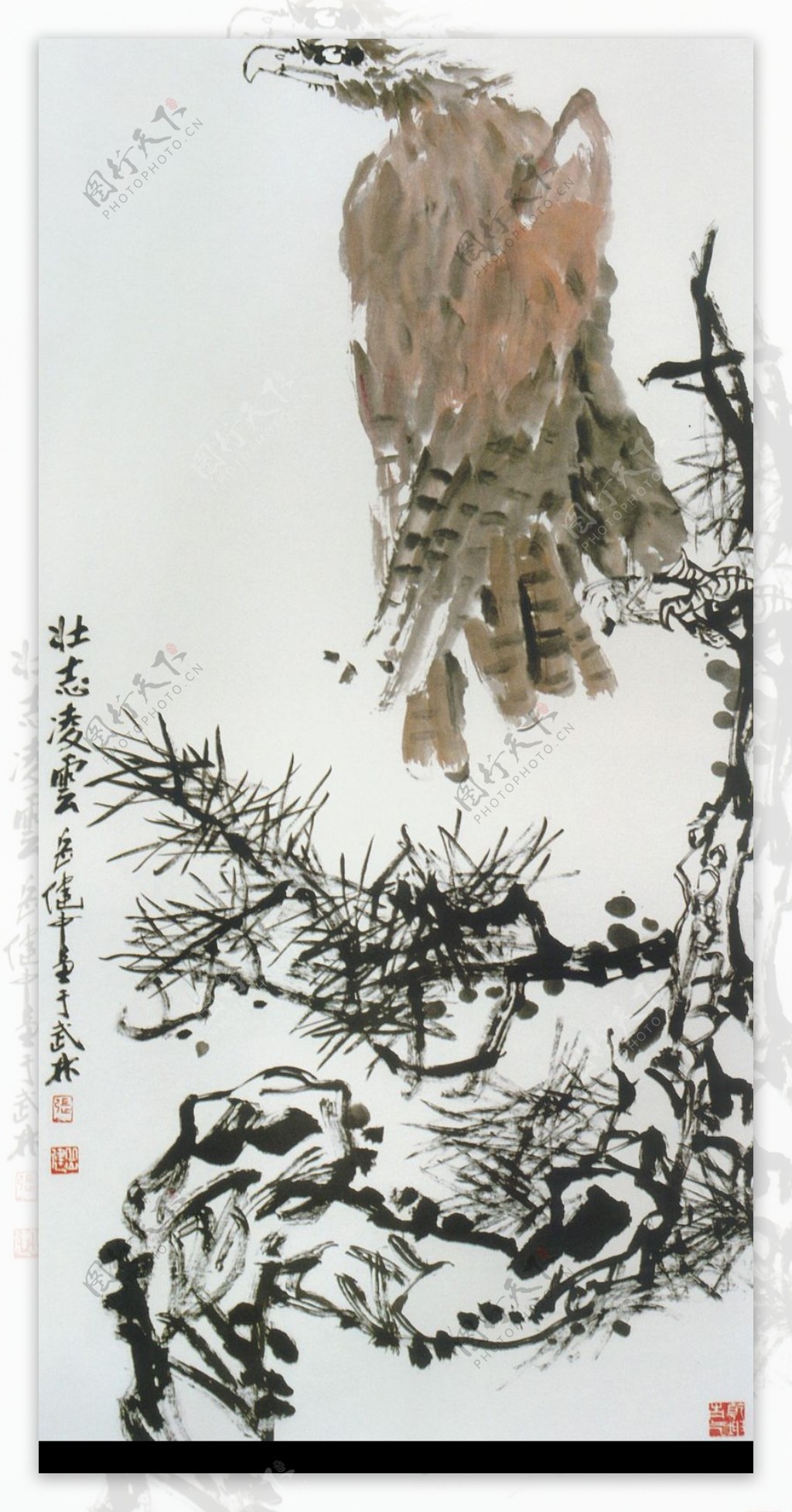 中国现代花鸟0195
