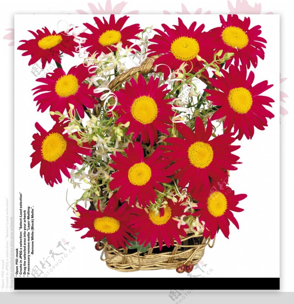 花饰0092图片素材-编号20119583-图行天下