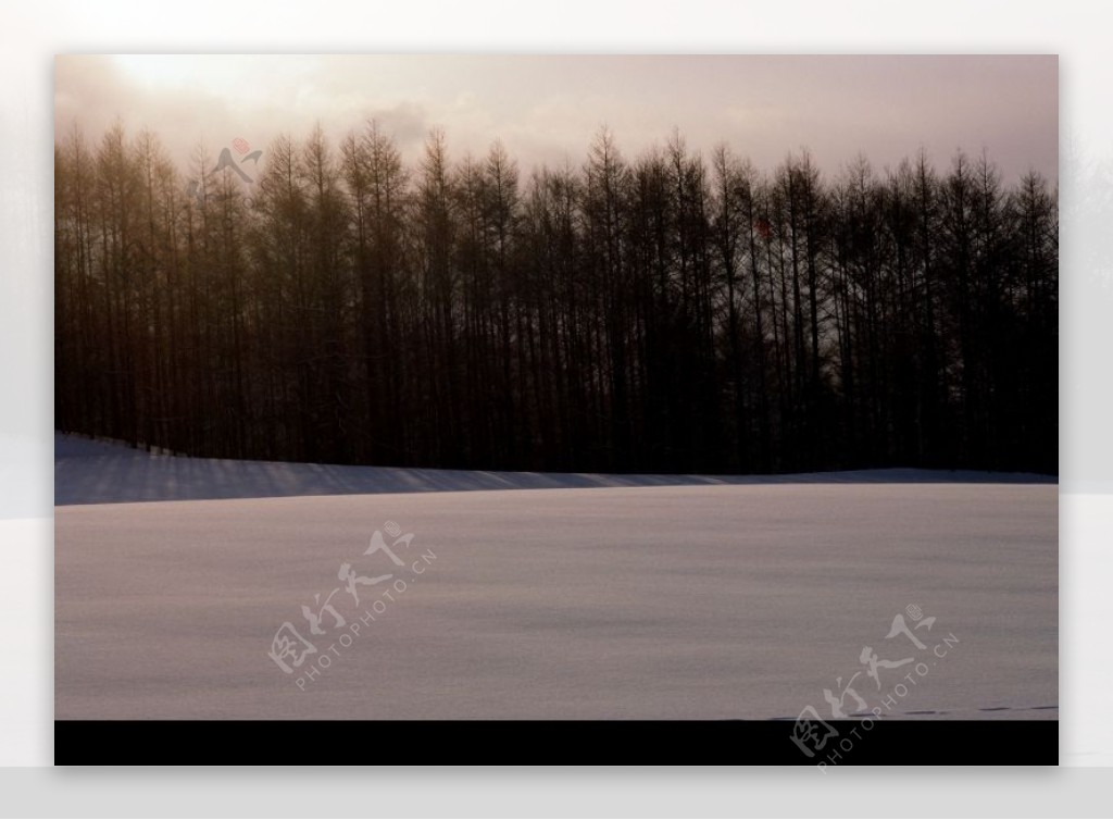 冬天雪景0534