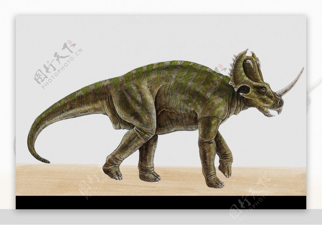 白垩纪恐龙0050