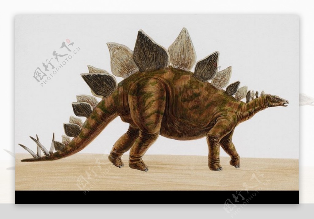白垩纪恐龙0056