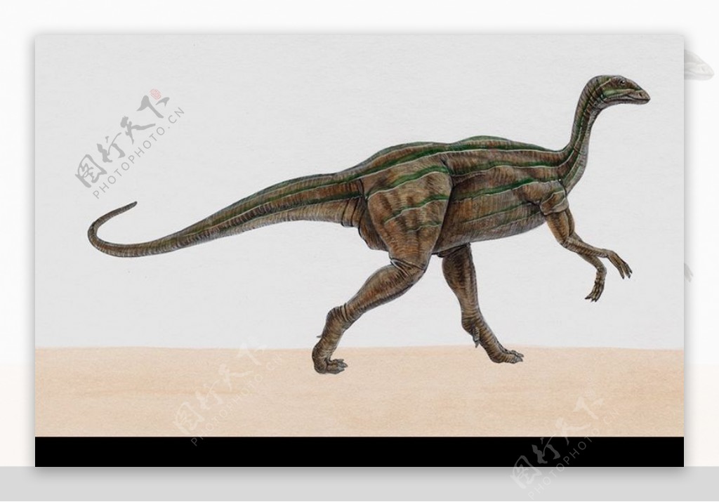白垩纪恐龙0090