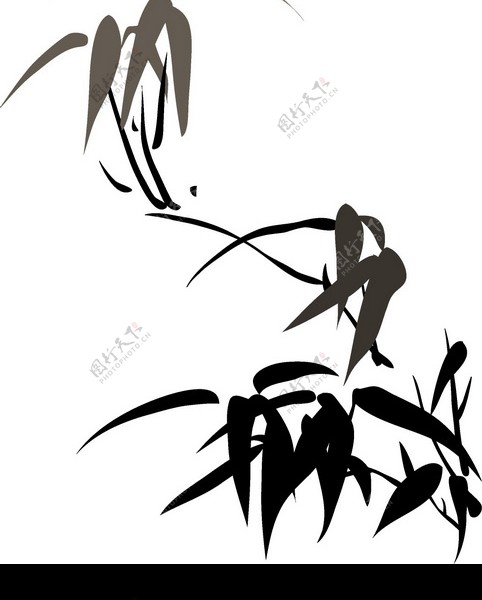 竹子荷花植物0047