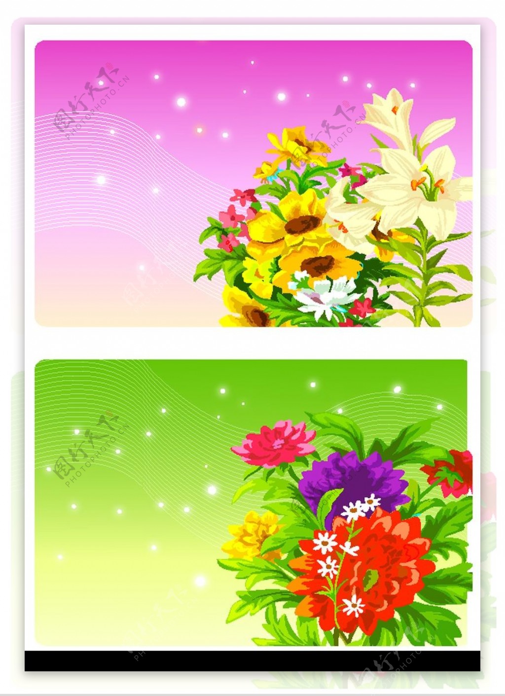 花卉0018