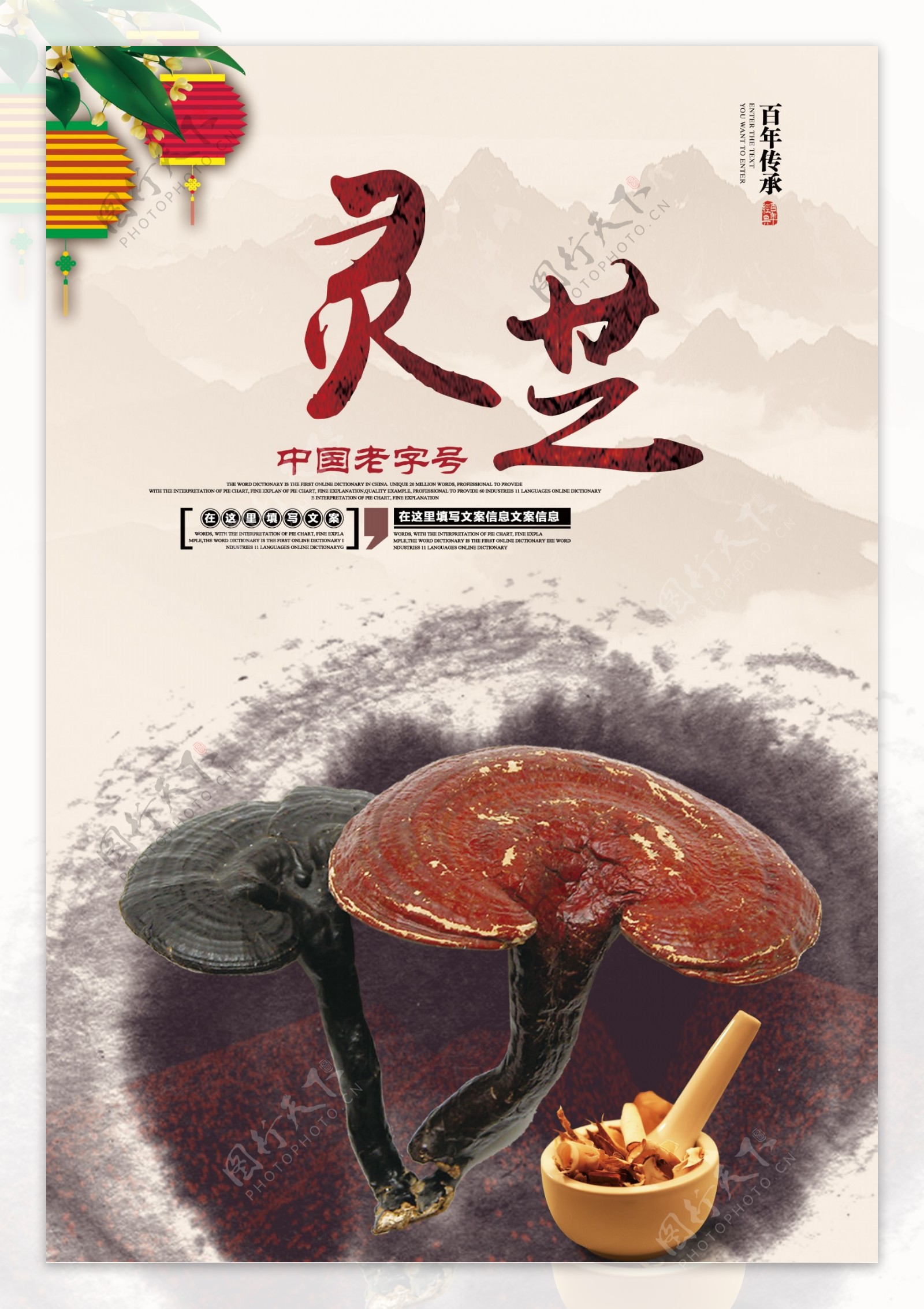 中国风灵芝宣传展板海报