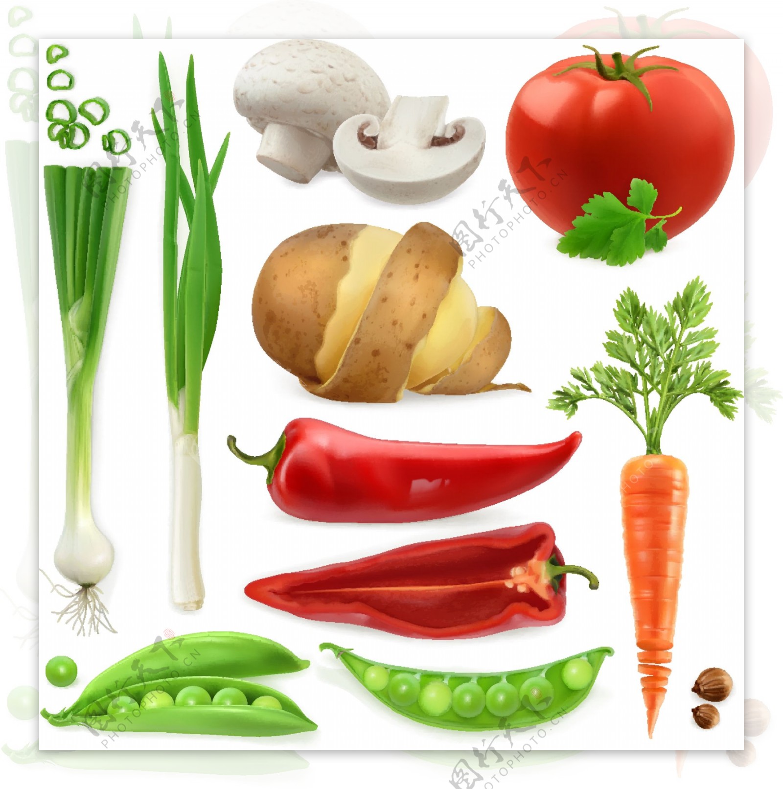 多种果蔬食品矢量素材