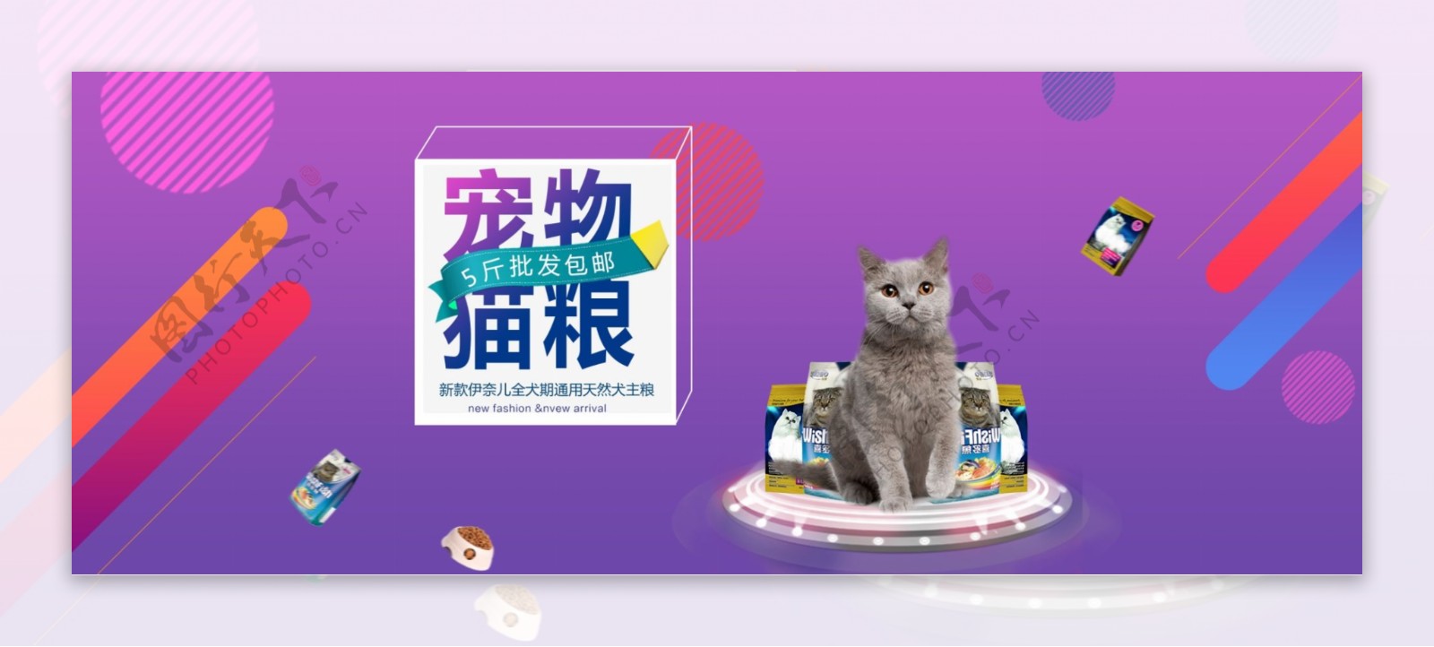 宠物banner海报