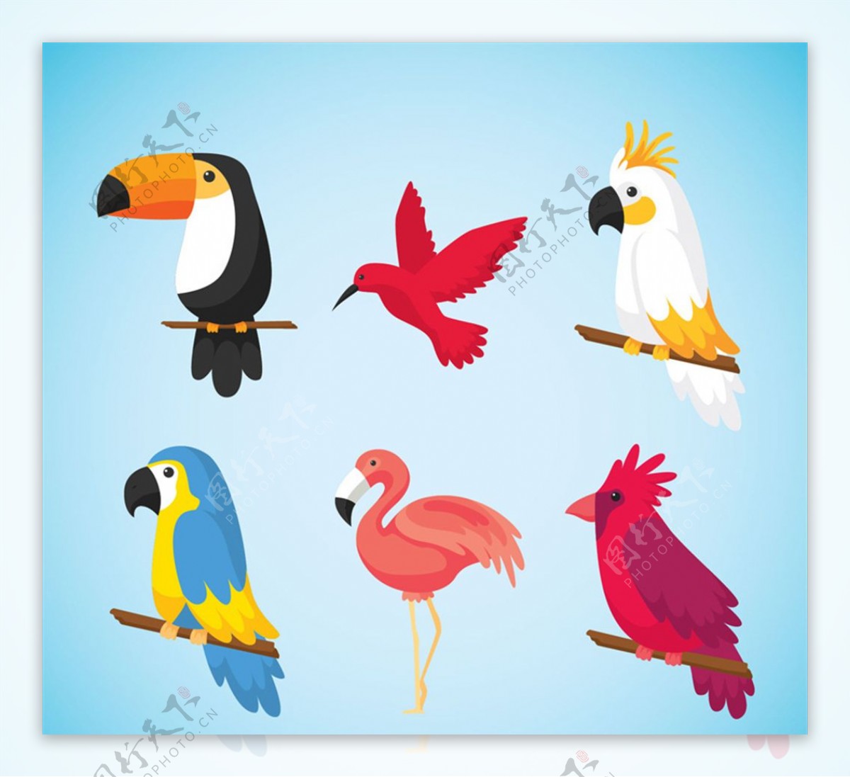 6款彩色卡通鸟类矢量素材