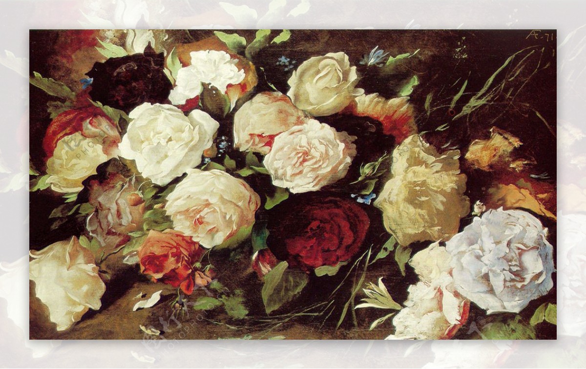 油画玫瑰系列图片不分层