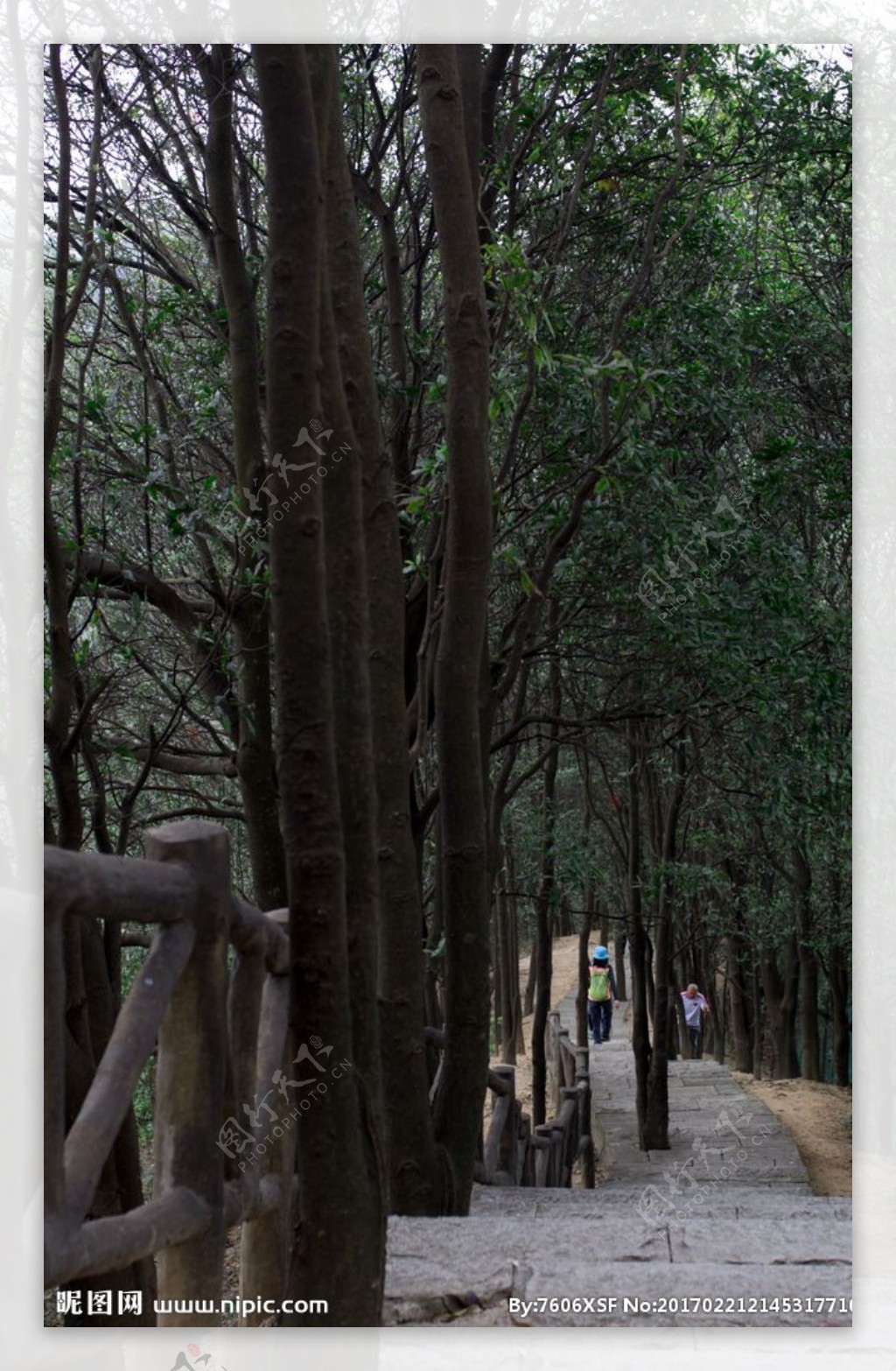 登山步道