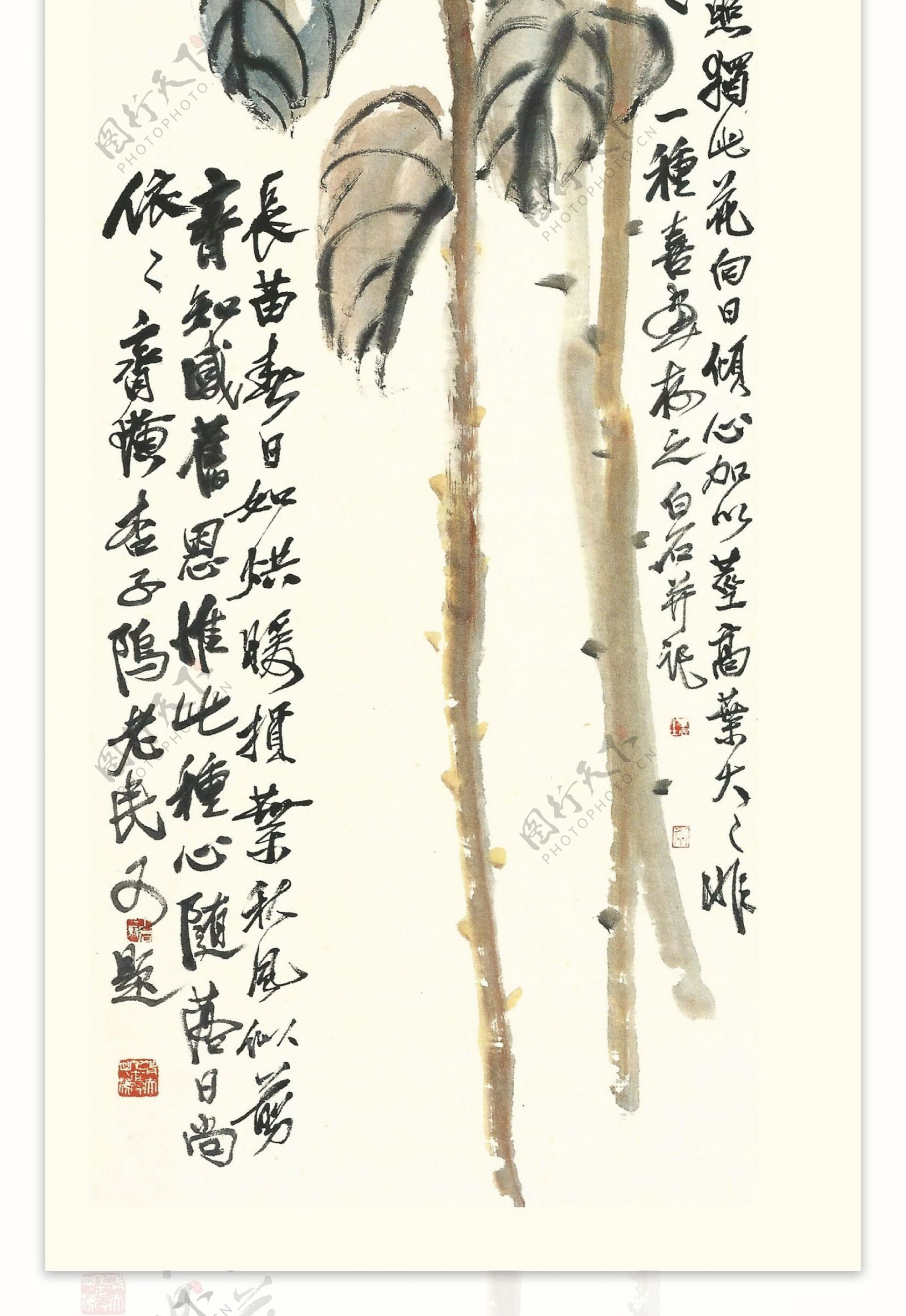 齐白石书法绘画艺术向日葵