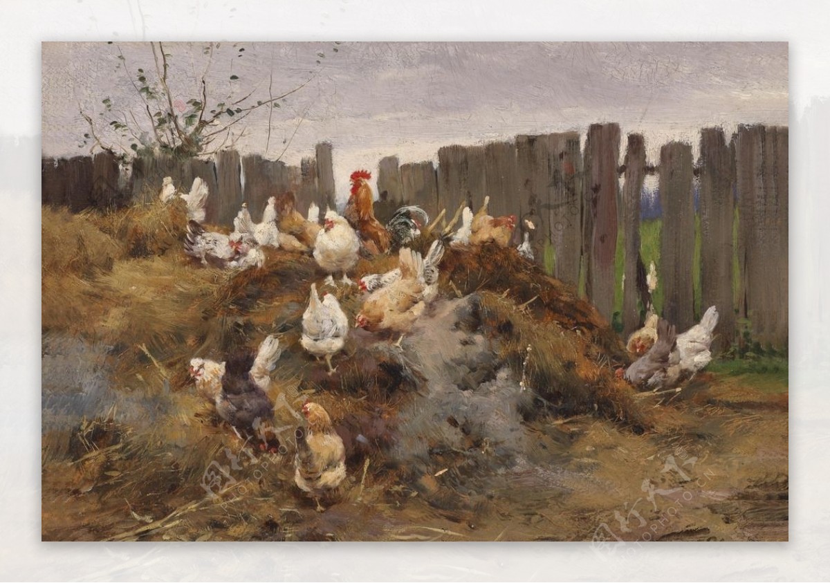欧洲鸡群油画