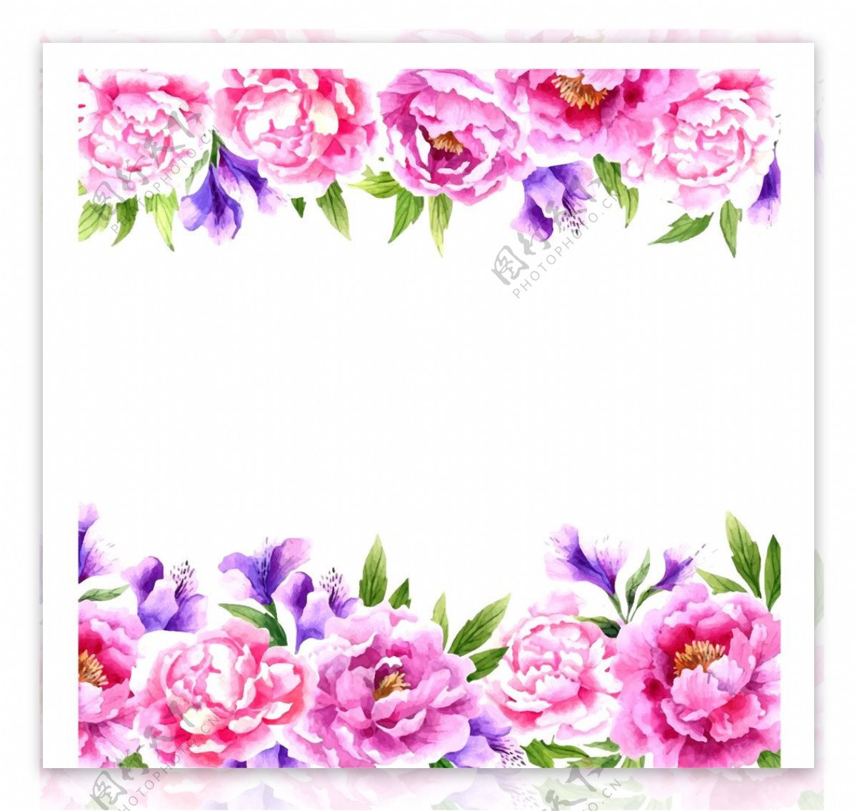 粉色卡片婚礼卡片水彩玫瑰