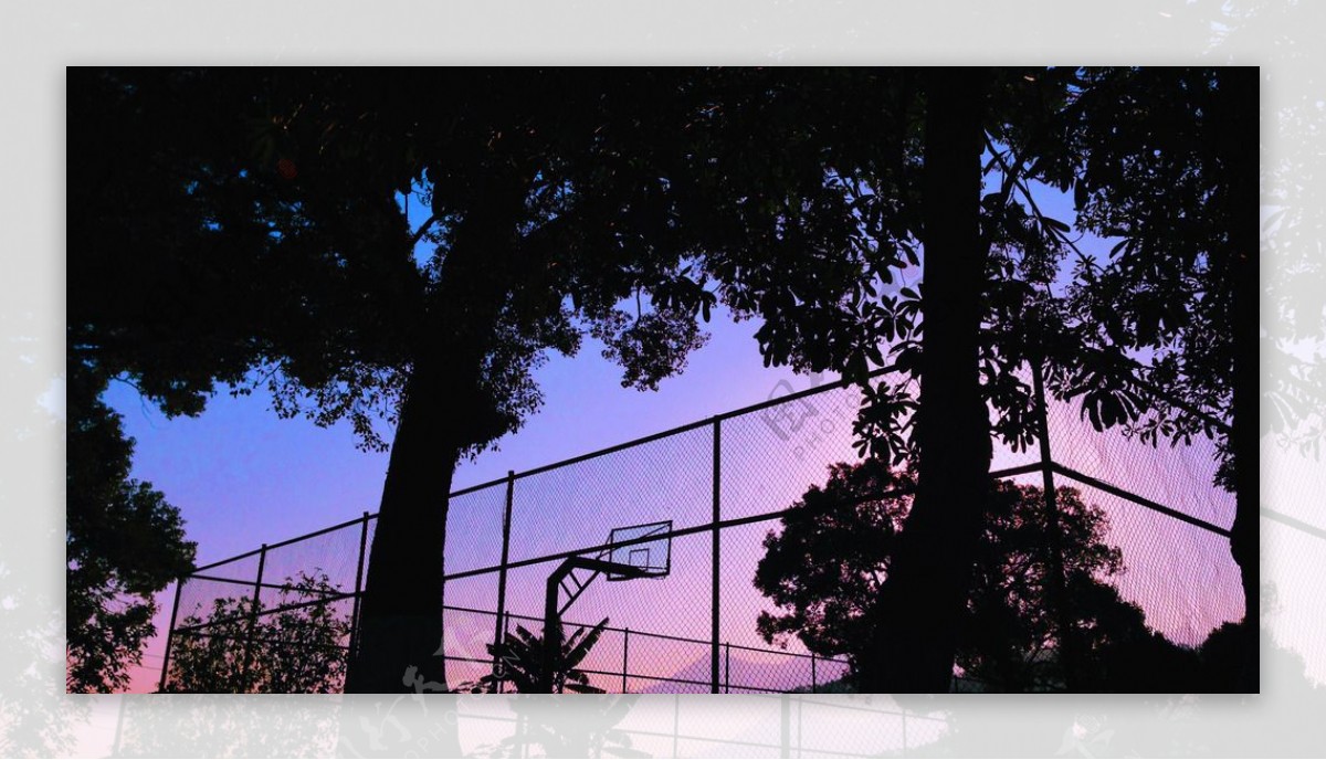夕阳中的篮球场