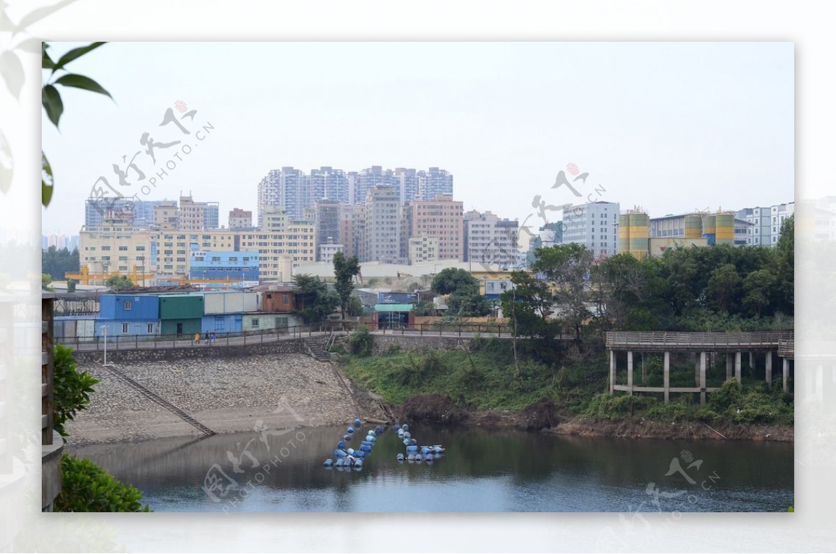 钓鱼场湖景