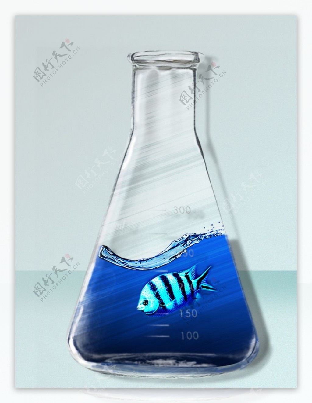 玻璃海水鱼