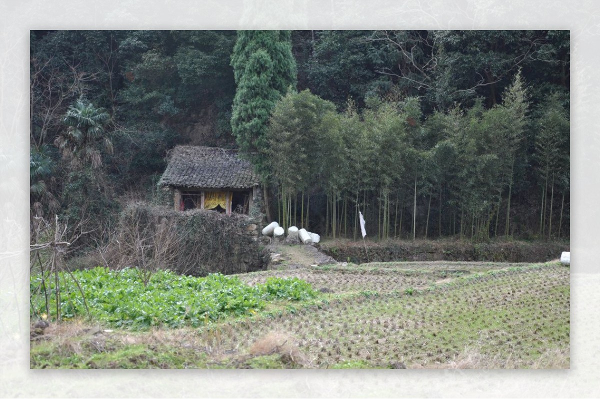 田园