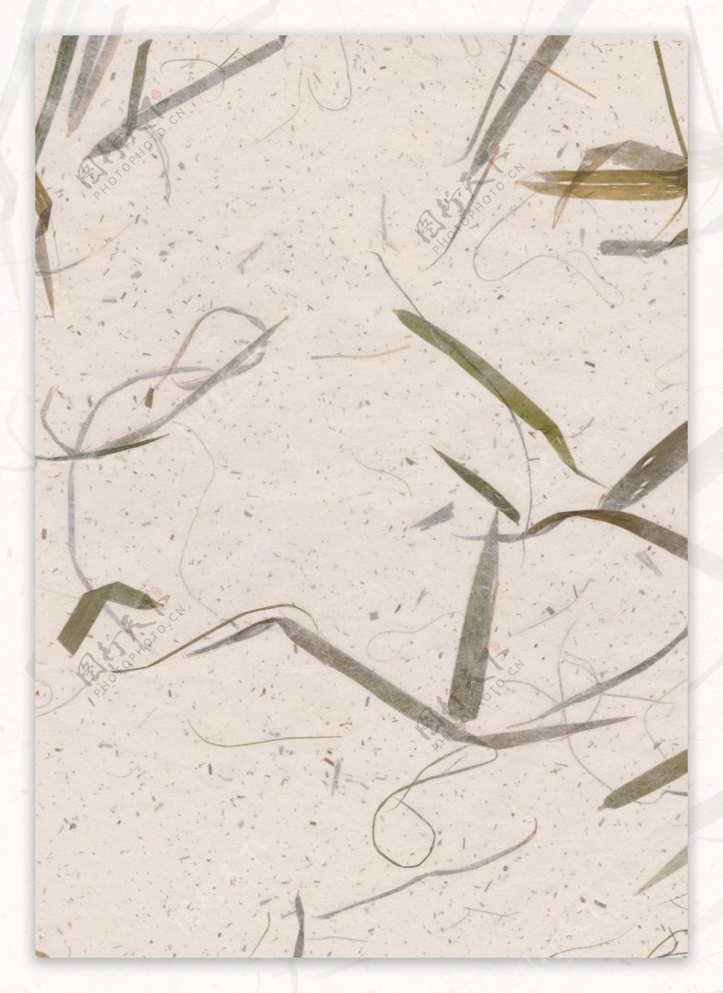 竹叶杂质纸张纹理底纹