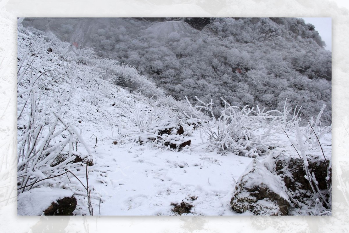 大雪