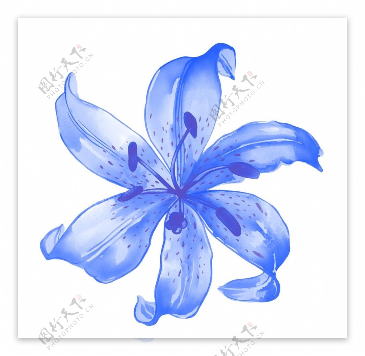 蓝色唯美花朵背景底纹