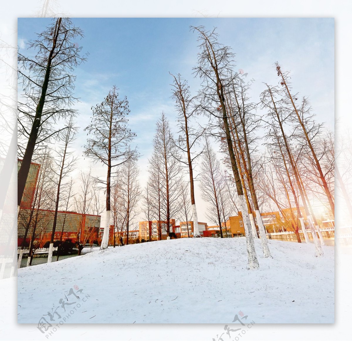 江南校园雪景