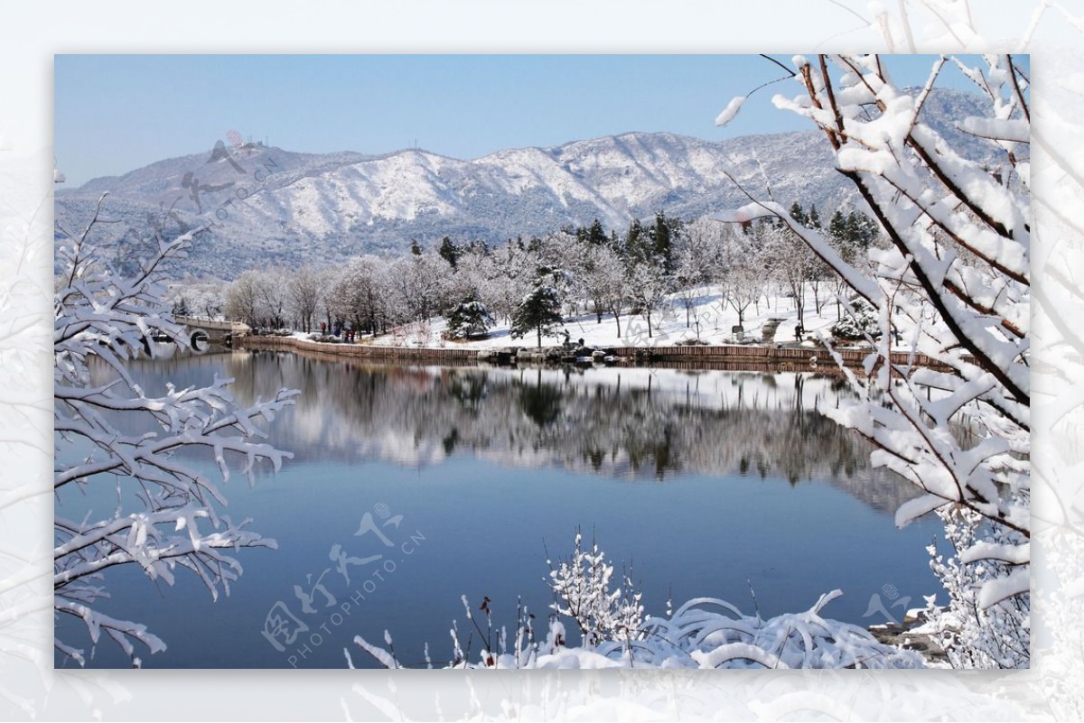 北京植物园雪景