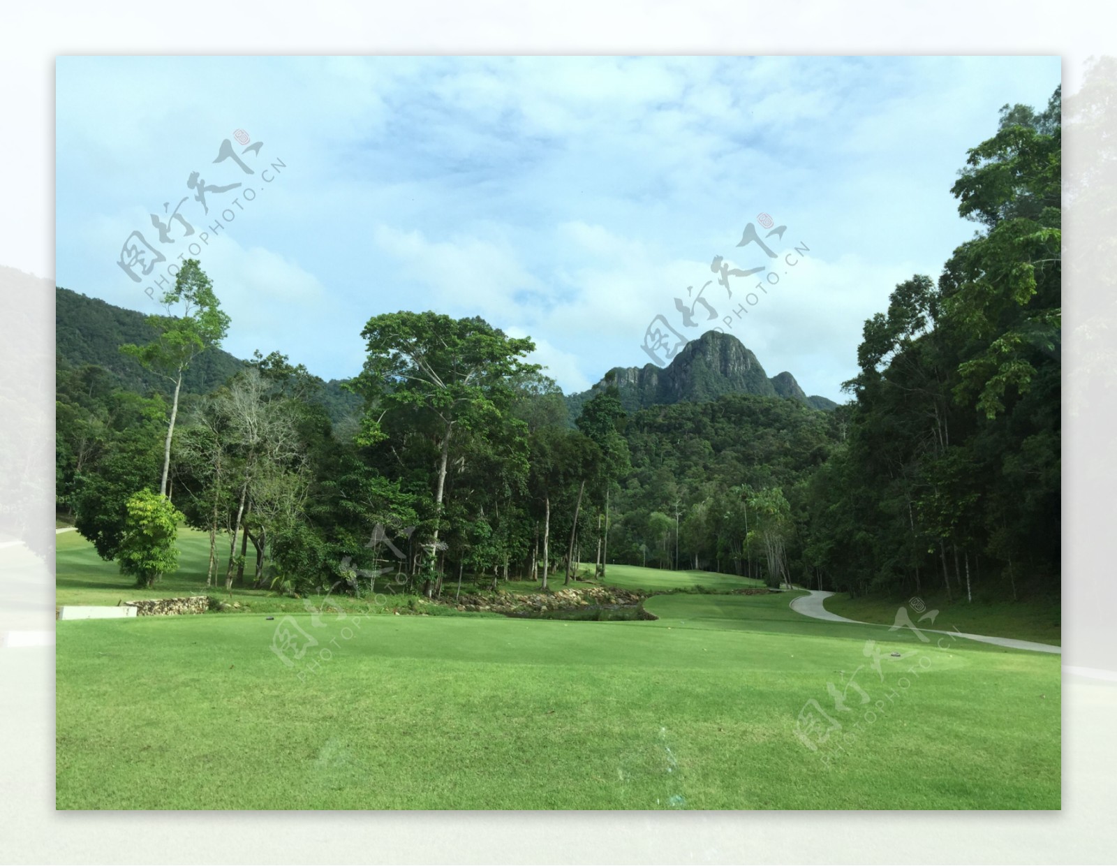 马来西亚原始森林