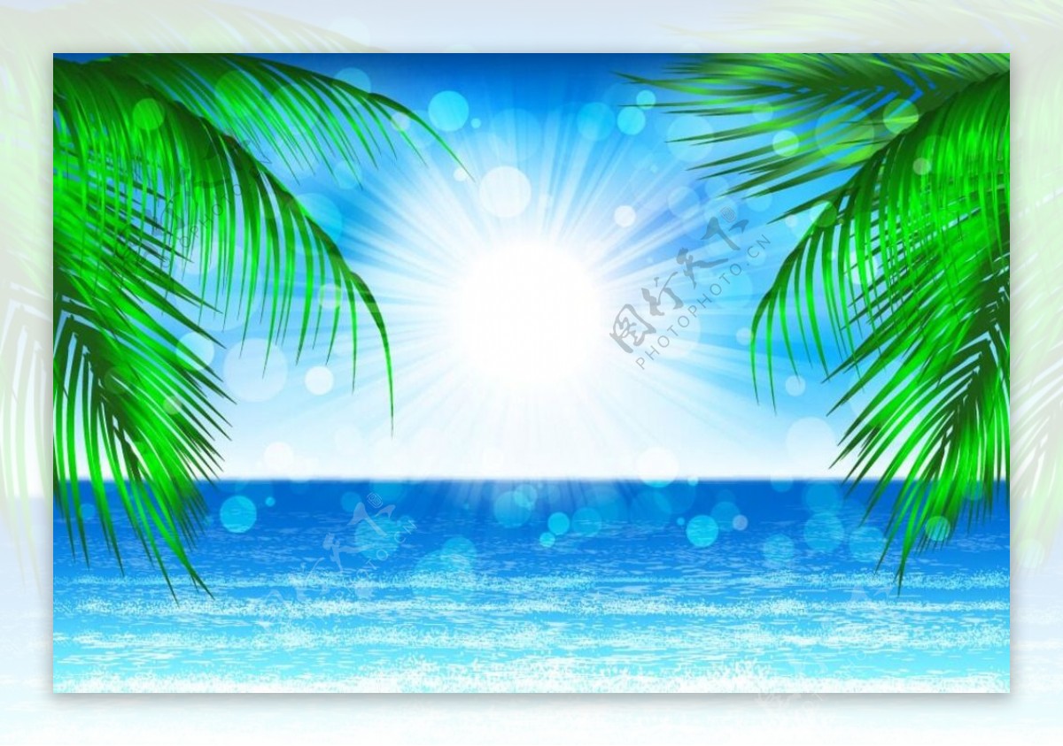 椰树大海阳光
