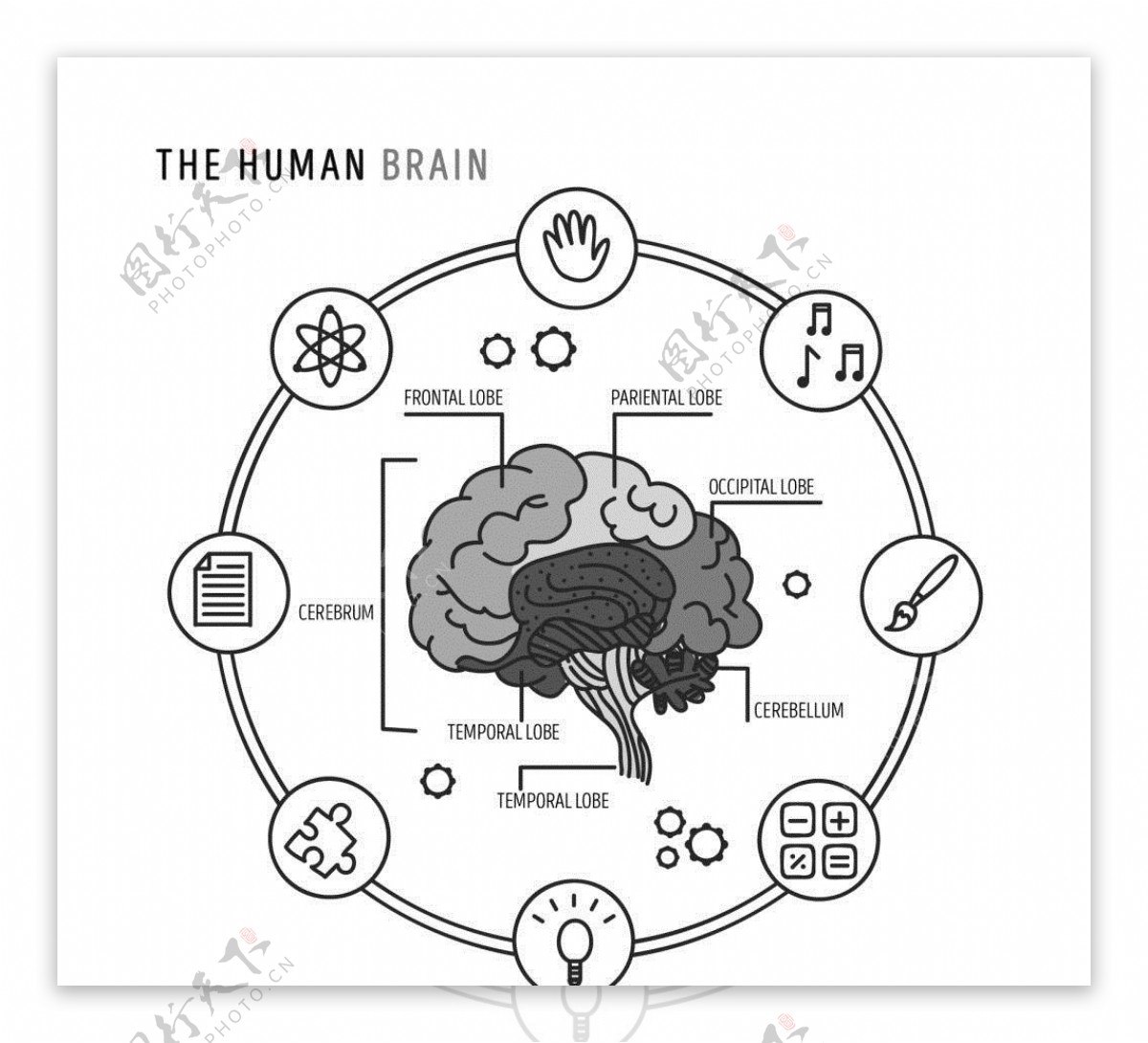 人脑圆形信息图表模板源文件宣传