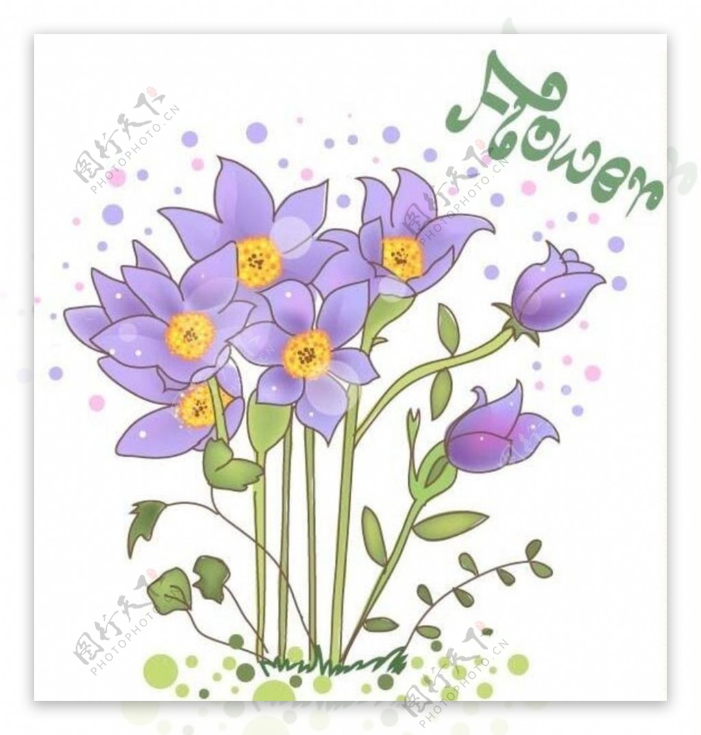 紫色水仙花手绘插画