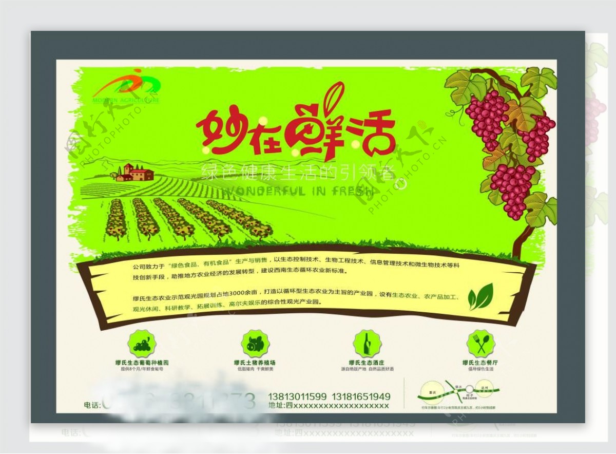 农场绿色生态dm单宣传活动模板