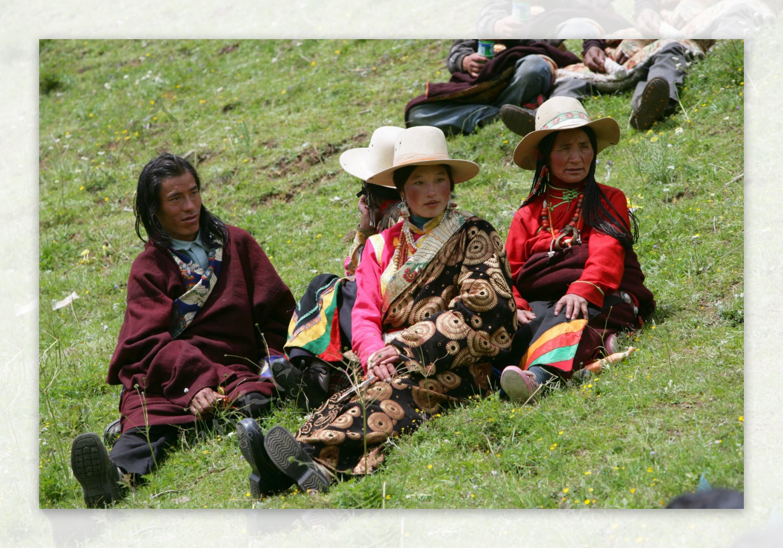 西藏民族