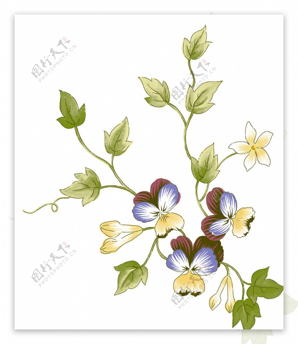 韩国花朵花卉壁纸素材