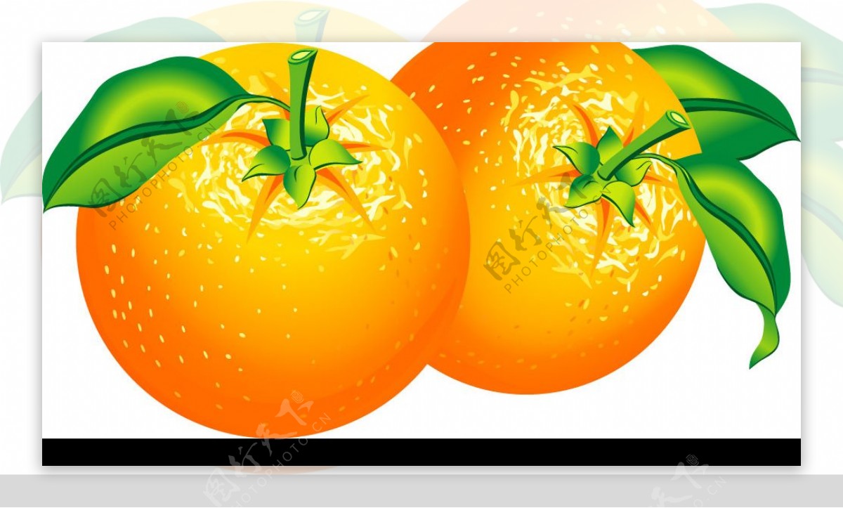 橙子矢量水果素材AI