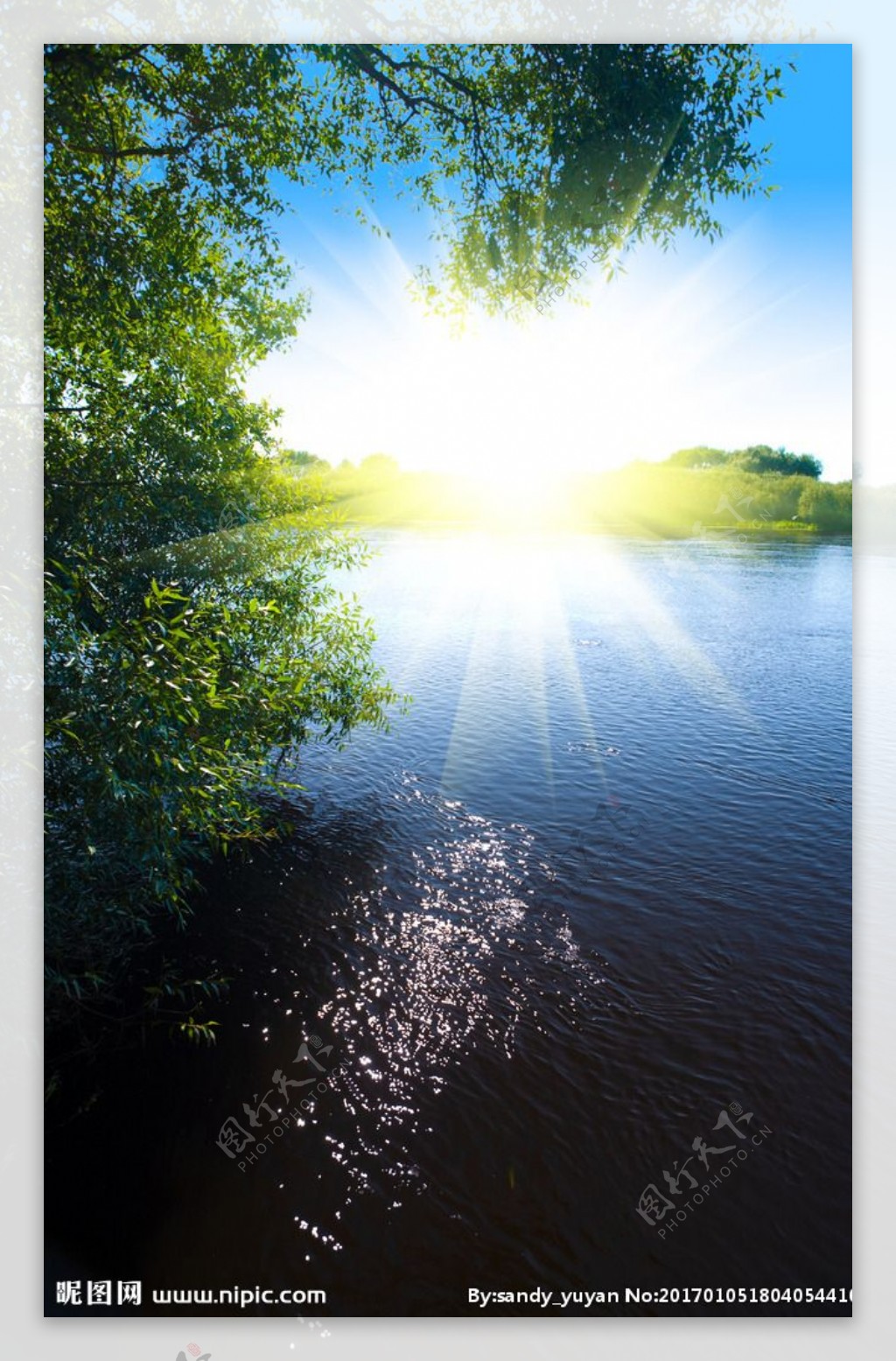 耀眼阳光与树木湖景